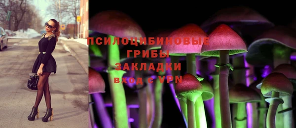 2c-b Надым