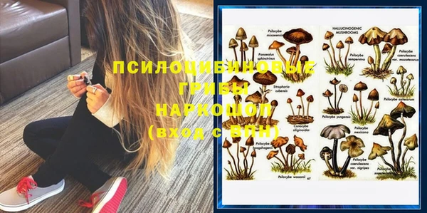 2c-b Надым
