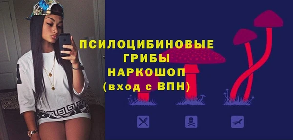 2c-b Надым