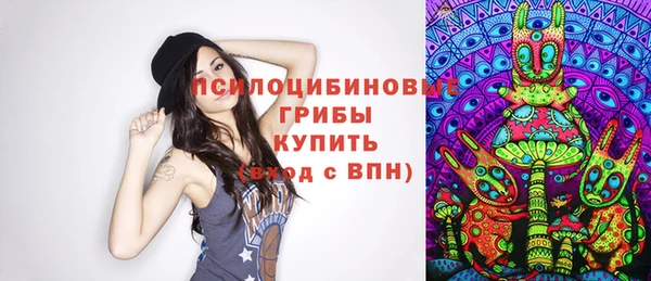 дживик Наволоки